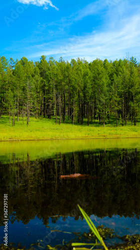lake in the forest 
MOUNTAIN URAN-TOGOO
Unactive volcano in Mongolia
