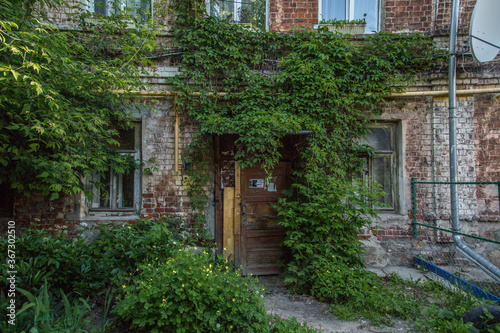Ivy entrance into a vintage brick house