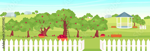 Apple orchard flat color vector illustration