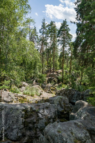 summer, day, journey, sky, expanse, forest, pine, trees, stone, labyrinth, unusual, huge, shapeless, boulders, moss, vegetation, grass, green, foliage, light, shadow, beauty