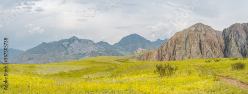 panorama of the Altay mountains photo