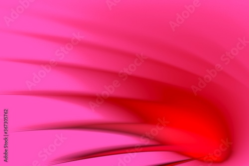 pink rose petals background