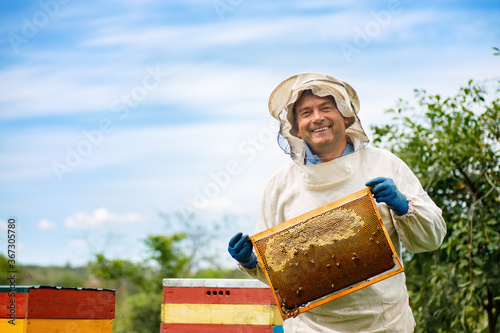 Beekeeper at apiary photo