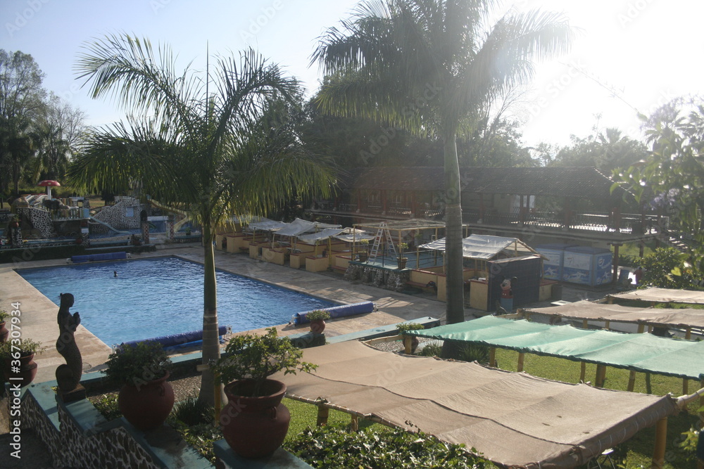 large pool with blue water next to palm trees in water park