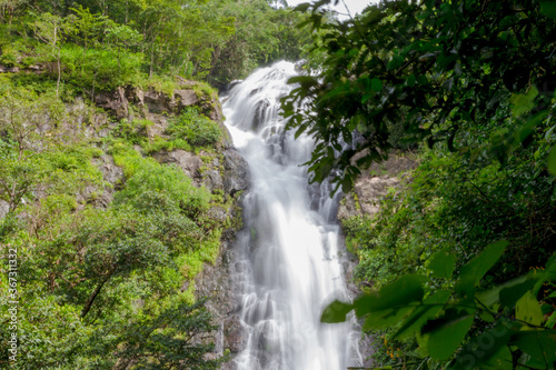 waterfall in the rainforest