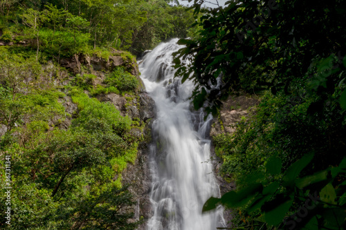 waterfall in the rainforest