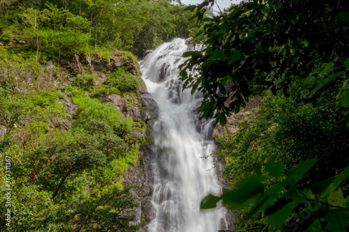 waterfall in the rainforest © jirateep