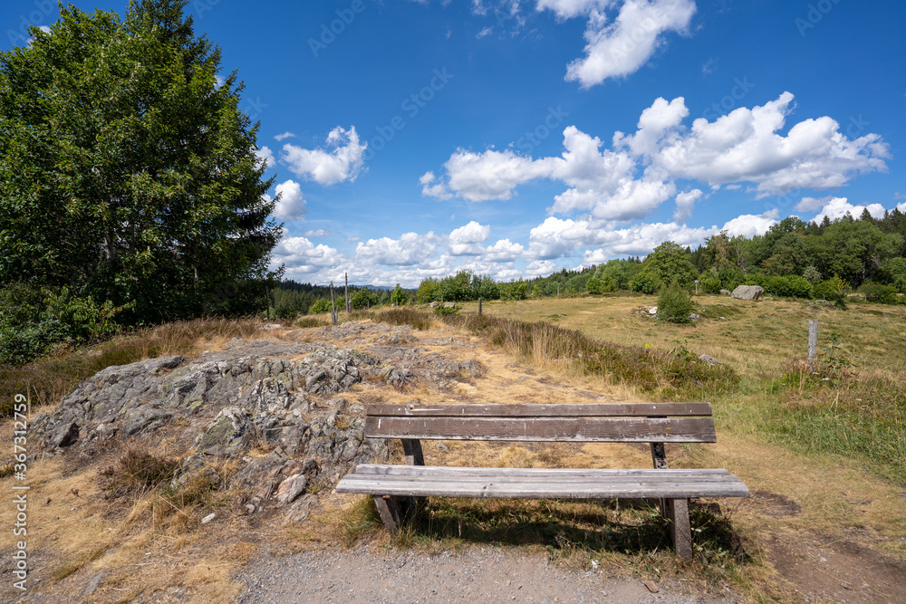 Schwarzwald bei Sankt Blasien