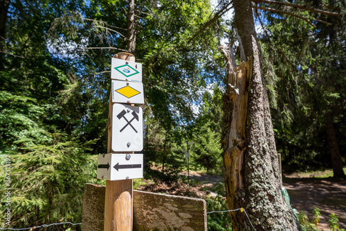 Schwarzwald bei Sankt Blasien