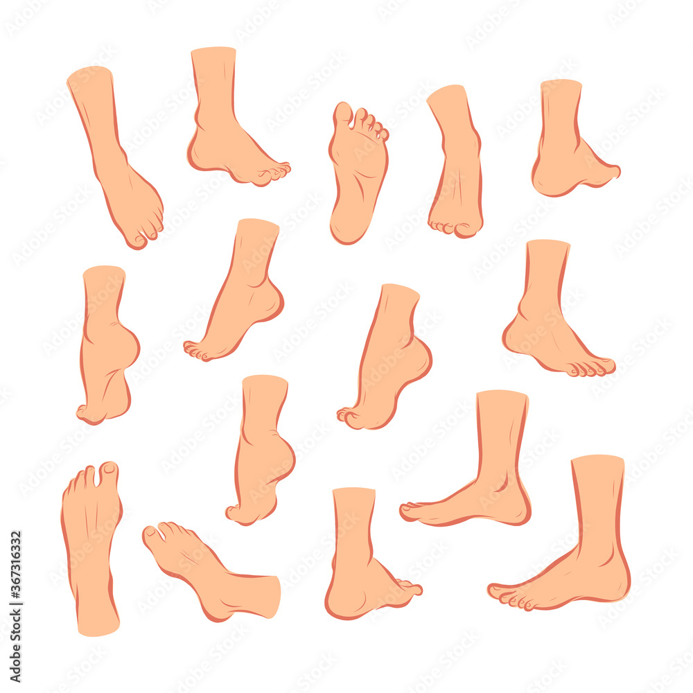 Collection of bare human man and woman feet arranged in different poses isolated on white background. Front, side, back view. Foot icon. Vector flat illustration. Collection of bare human man and woman feet arranged in different poses isolated on white background. Front, side, back view. Foot icon. Vector flat illustration.