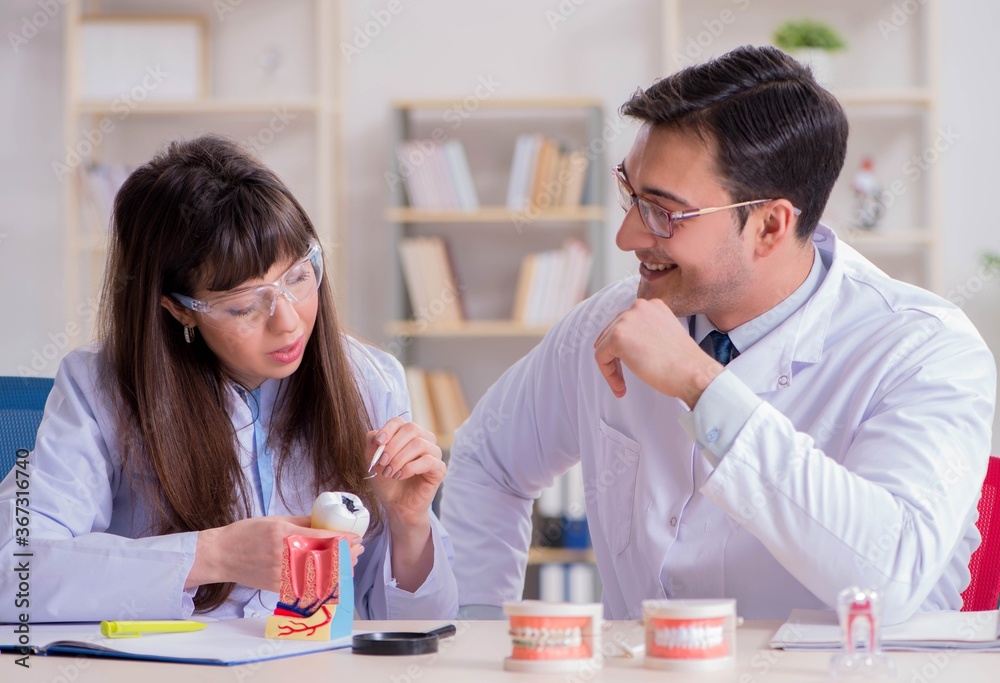 Dentist explaining student tooth structure Dentist explaining student tooth structure