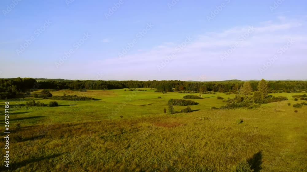 A forest area in the rays of the evening sun. A forest area in the rays of the evening sun.
