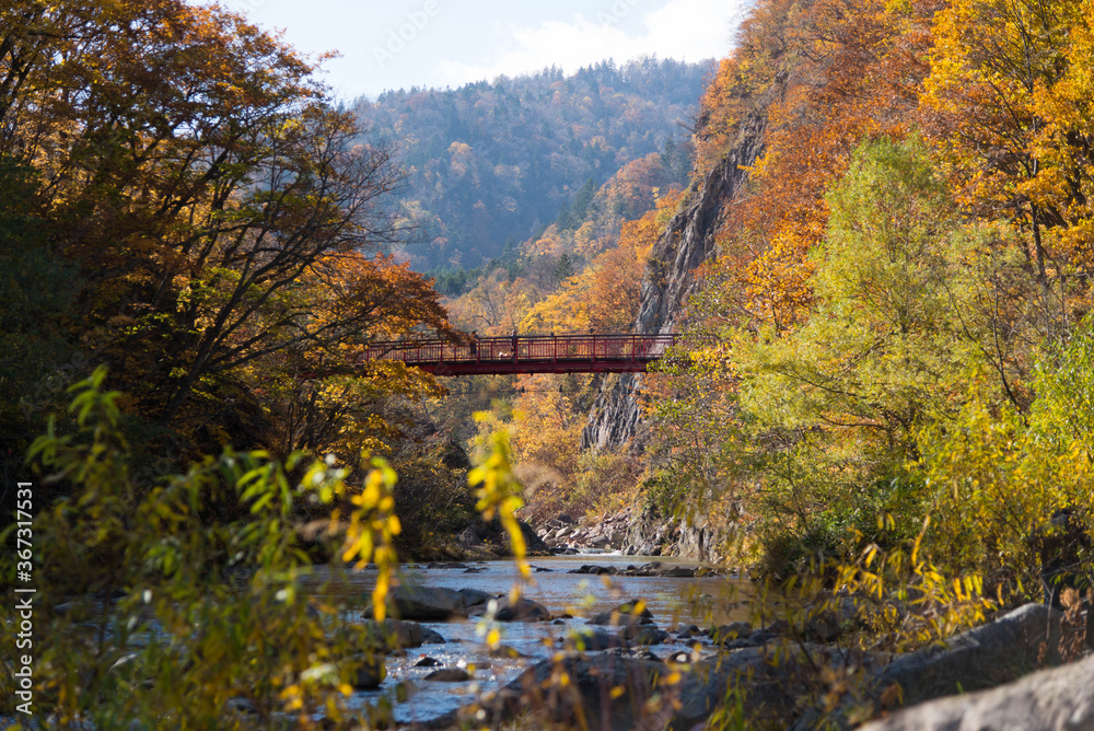 紅葉と二見吊橋（定山渓）