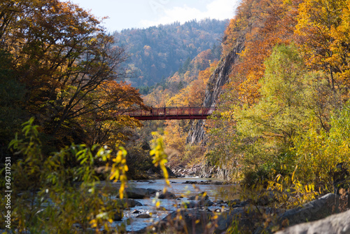 紅葉と二見吊橋（定山渓） © ひでぼう