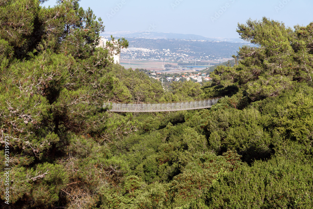 The public  Nesher Park suspension bridges in Nesher city in northern Israel
