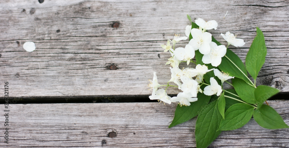 Jasmine flowers on the wooden table. Bouquet of flowers. Banner size with copy space. Nice background with white flowers and empty space for text. Jasmine flowers on the wooden table. Bouquet of flowers. Banner size with copy space. Nice background with white flowers and empty space for text.