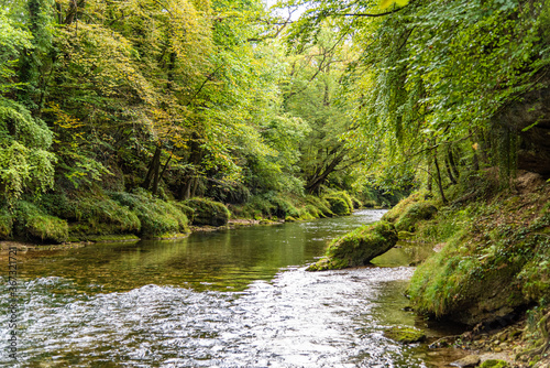 Die Erlaufschlucht in Purgstall Österreich