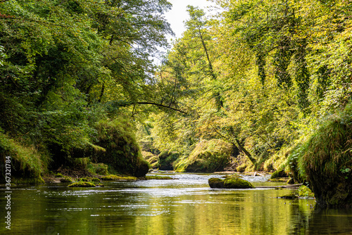 Die Erlaufschlucht in Purgstall Österreich