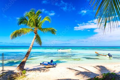 Fototapeta Naklejka Na Ścianę i Meble -  Palm trees on the caribbean tropical beach with boats. Saona Island, Dominican Republic. Vacation travel background