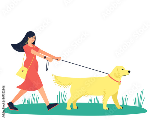 A woman walks with her beloved dog, the Labrador Retriever. Walk with your beloved pet. A large strong dog pulls its owner along. Flat vector illustration.