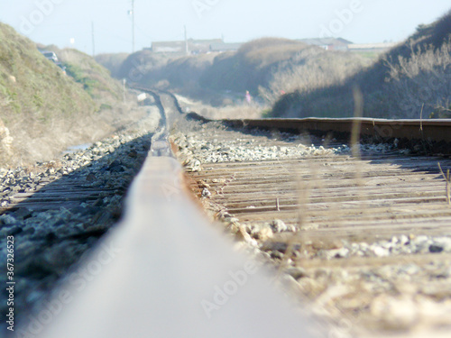 Фотография Dead track California Pacific Coast