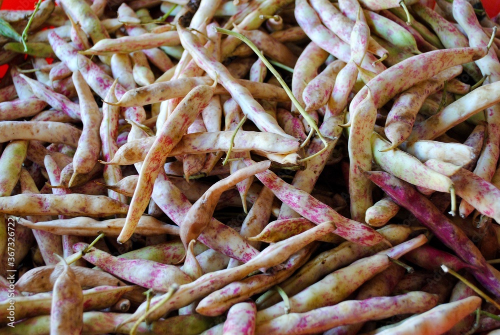Close up of fresh cranberry (Barbunya) beans on the table