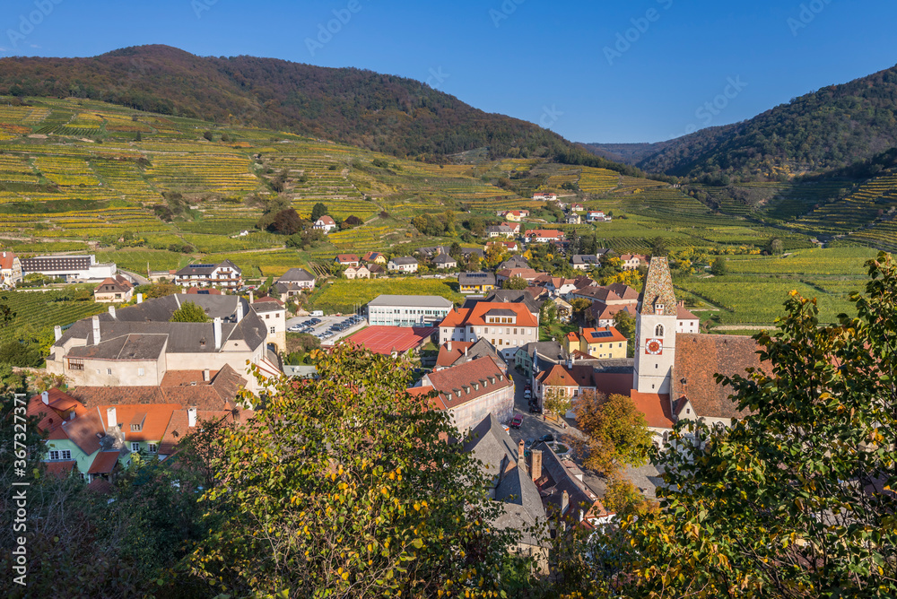 Obraz premium Autumn colors in the vineyards of Spitz town in Wachau Valley, Austria