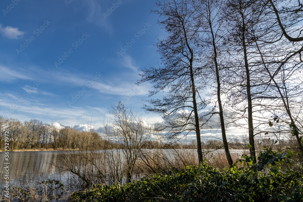 Wollnysee in Schleswig-Holstein im Frühling