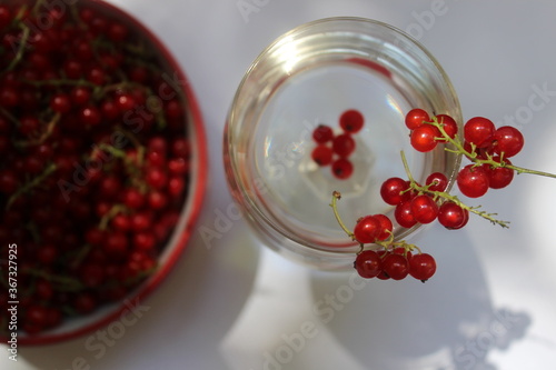 Berries of red currants in a glass on white background