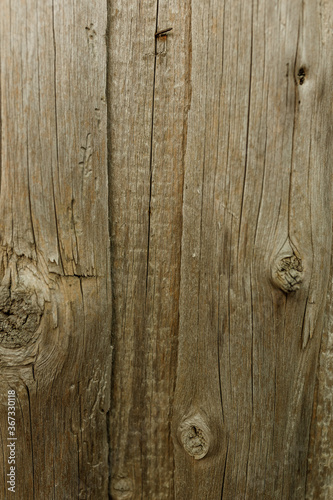 wood texture. background old panels. retro vintage wood texture