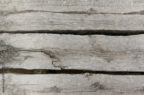 Grey rustical wood - backgroud texture 