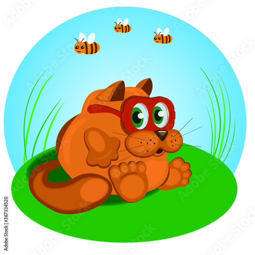 orange cat sky glade bee