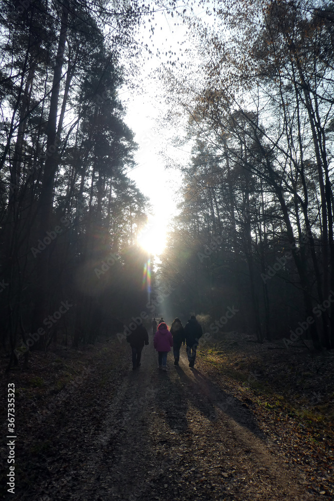 Wanderung im Wald Wanderung im Wald