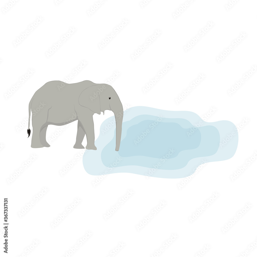 Elephant Illustration Elephant Illustration
