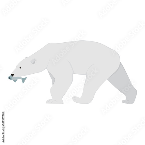 Polar Bear Illustration