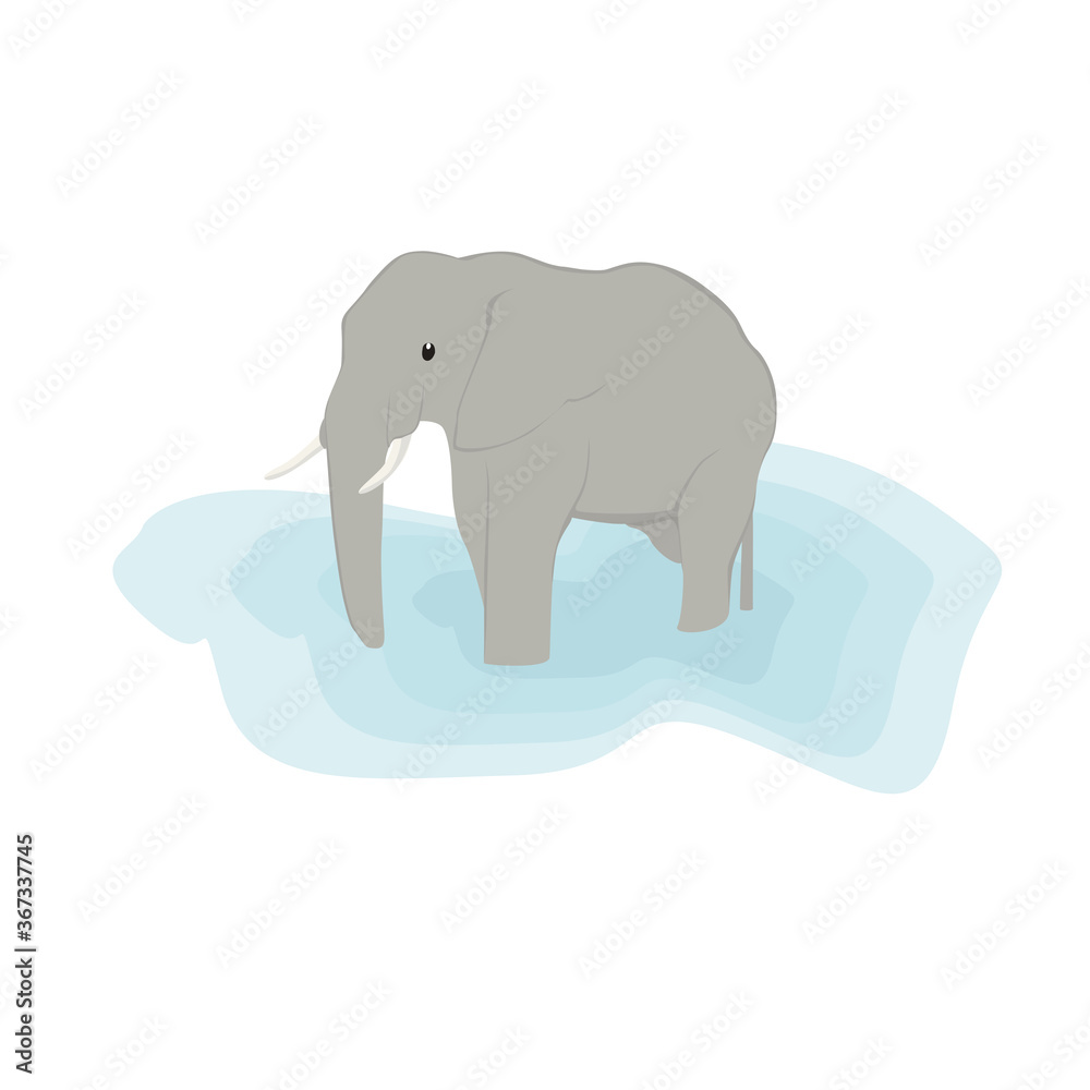 Elephant Illustration