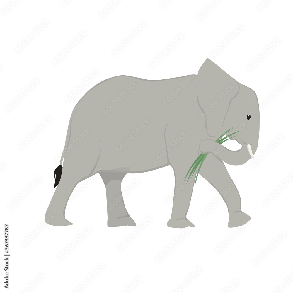 Elephant Illustration