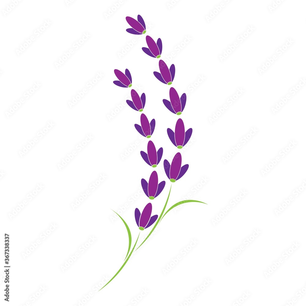 lavender, flower illustration logo vector design