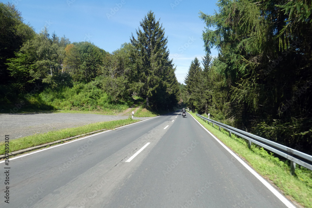 Fototapeta premium road in the forest