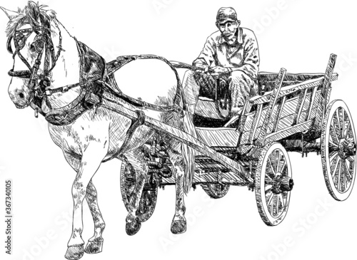 Horse and horse cart-sketch