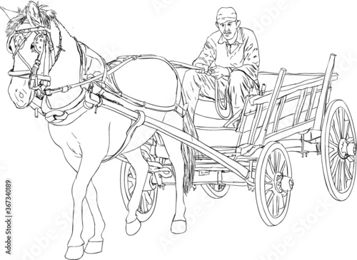Horse and horse cart-sketch