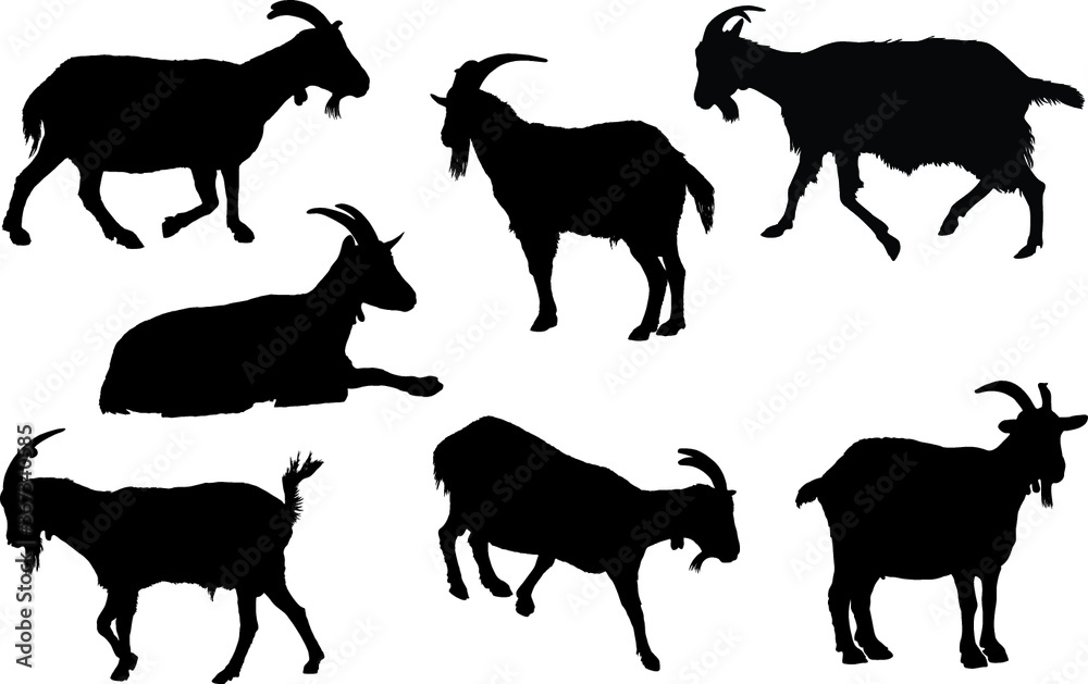 Obraz premium Goat silhouette collection. Rural farm animals on a white background