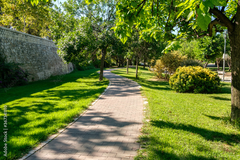 Turia Garden Valencia Bike lane cycleway for cyclists only bikewaySpain Turia Garden Valencia Bike lane cycleway for cyclists only bikewaySpain