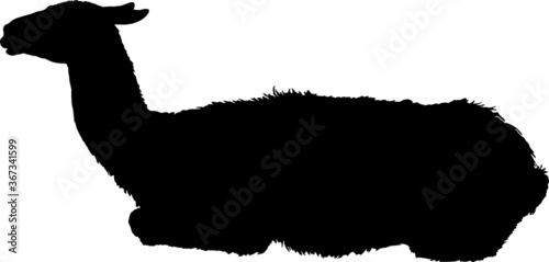 Llama silhouette
Detailed vector illustration of llama silhouette
