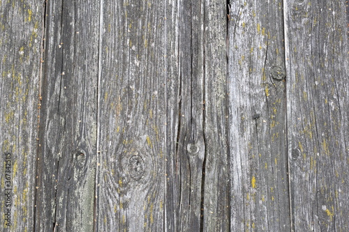 Rotten mossy wooden planks close up, background image