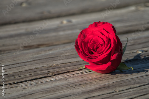 A single red rose on a planked deck