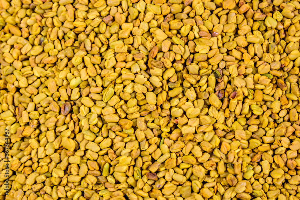 Background of the fenugreek seeds (methi dana, helba or shambala) Background of the fenugreek seeds (methi dana, helba or shambala)