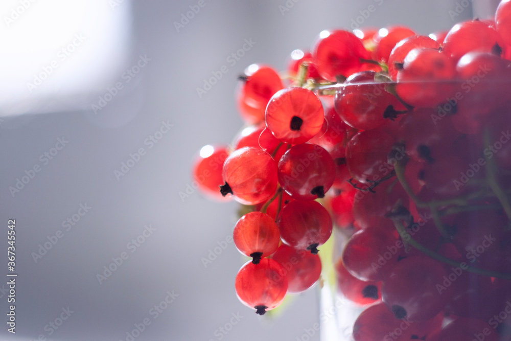 Fototapeta premium red currant berries in the glass