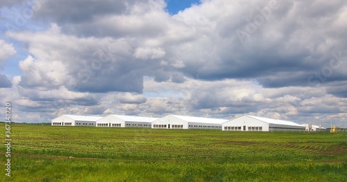 Summer rural landscape with green grass and clouds. Plowed field with agricultural buildings. Countryside dairy farm.