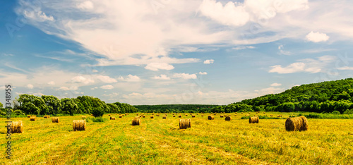 Obraz na plátně Scenic view at beautiful hay stacks in a green shiny field with green grass, dee